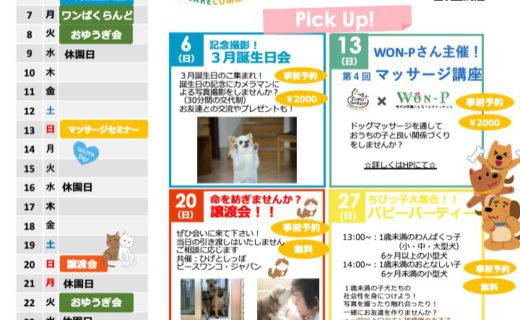 つむぎ動物病院